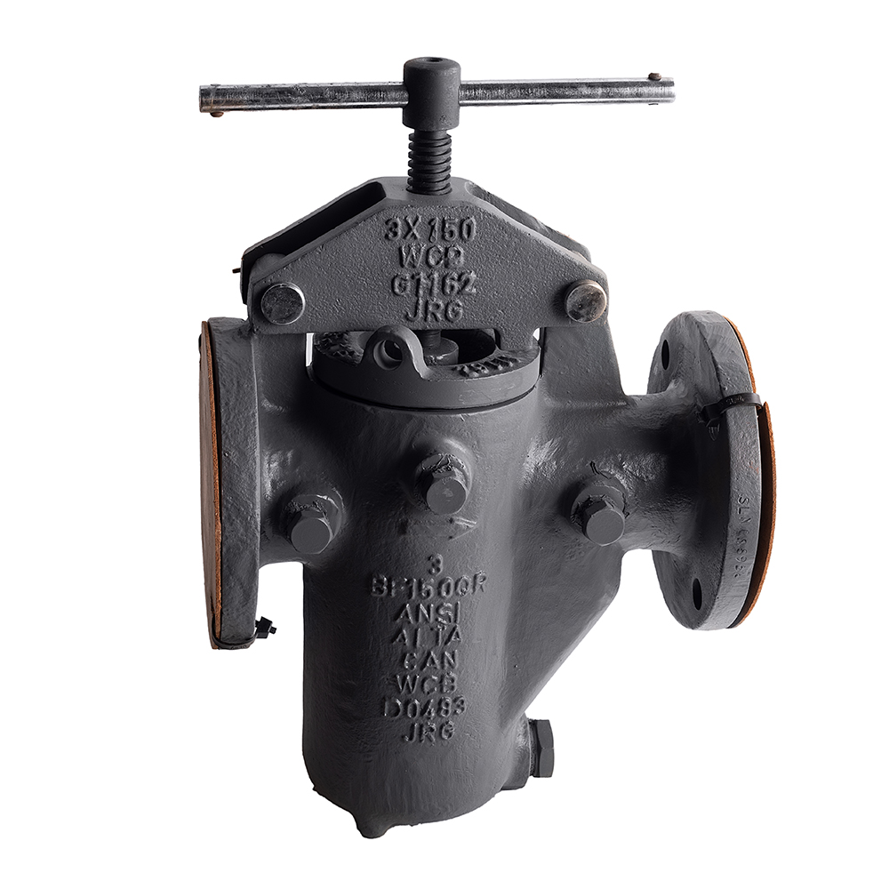 BF 150 QR industrial strainer