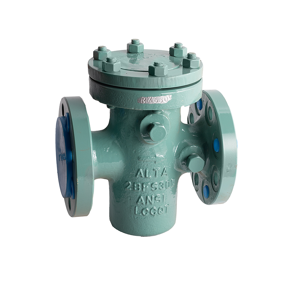 BFS 300 LCC strainer
